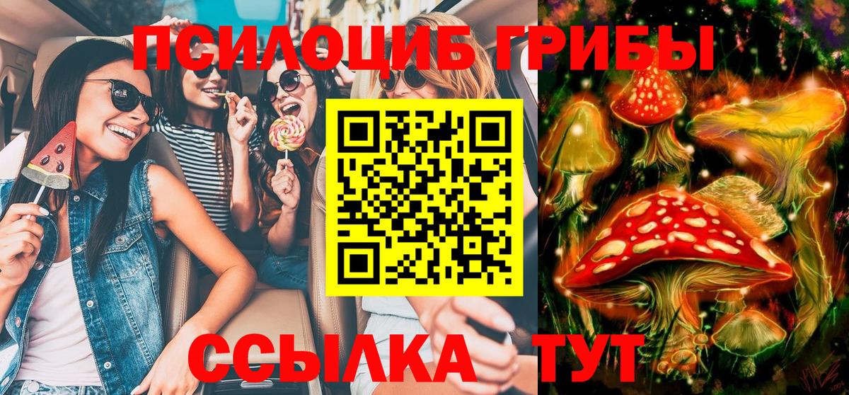 Галлюциногенные грибы Psilocybine cubensis Лысьва