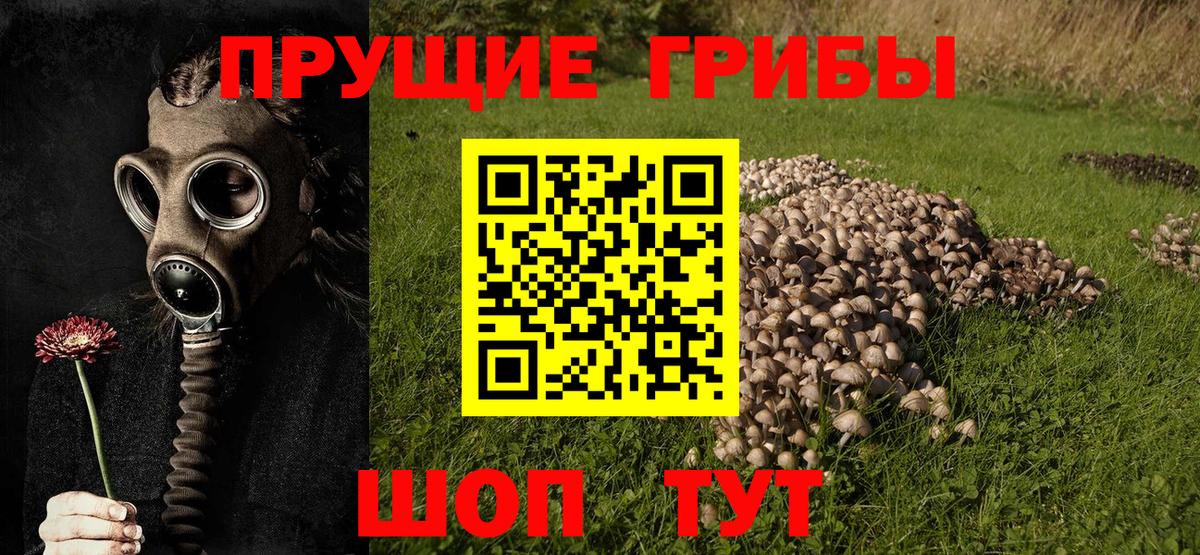 Галлюциногенные грибы Magic Shrooms  Вход с VPN  Лысьва 
